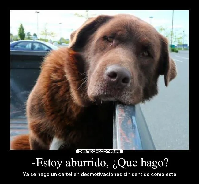 Estoy aburrido, ¿Que hago? | Desmotivaciones Estoy aburrido, ¿Que hago? | Desmotivaciones