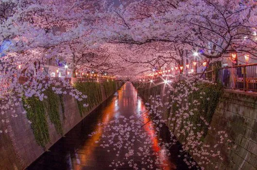 Aburrido en T!, mira estos paisajes increíbles - Taringa!