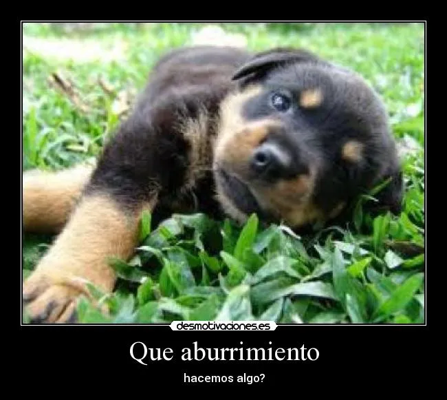 Que aburrimiento | Desmotivaciones