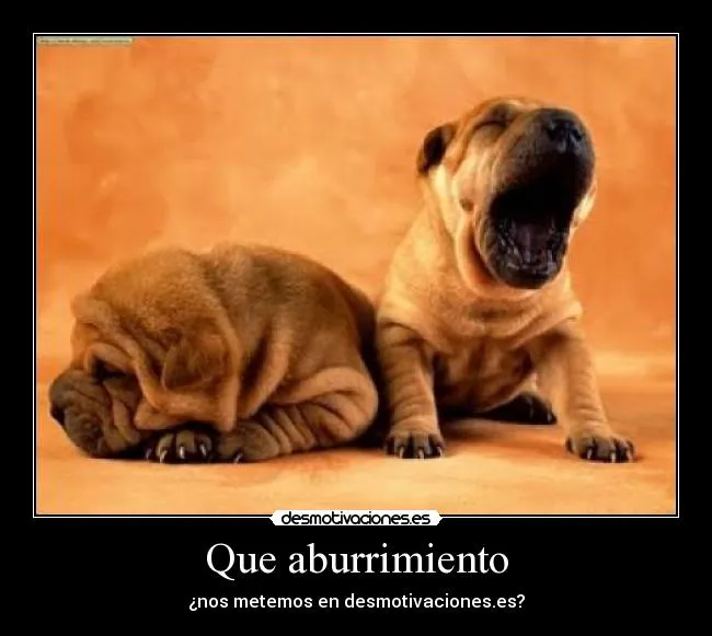 Que aburrimiento | Desmotivaciones