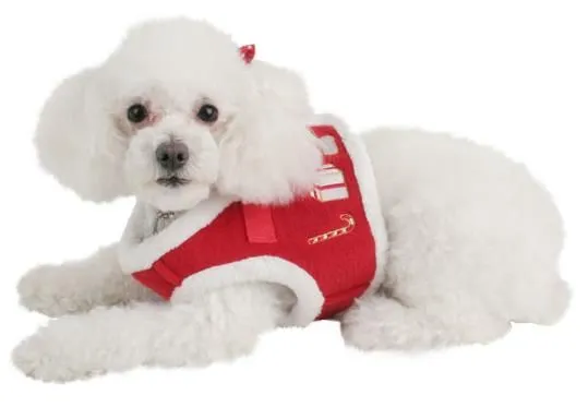 Accesorios para Perros: Originales Regalos Navideños para Mascotas!
