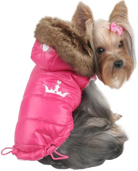 Accesorios para Perros: Ropa para Perros igual a la tuya! Accesorios para Perros: Ropa para Perros igual a la tuya!