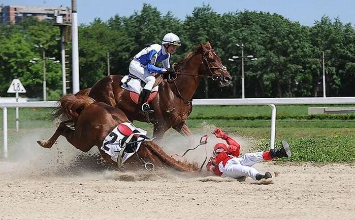 Accidentes de caballos: Accidentes de Caballos de carreras Accidentes de caballos: Accidentes de Caballos de carreras