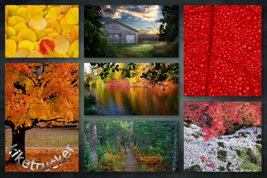 Wallpapers Otoño HD - Pack 2 [Varios servidores ... Wallpapers Otoño HD - Pack 2 [Varios servidores ...