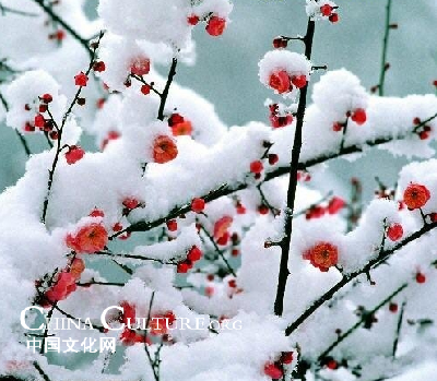According to historical records, plum blossoms appeared on drawing ... According to historical records, plum blossoms appeared on drawing ...