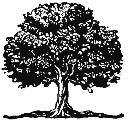 Accostamenti di carattere nei progetti grafici Accostamenti di carattere nei progetti grafici