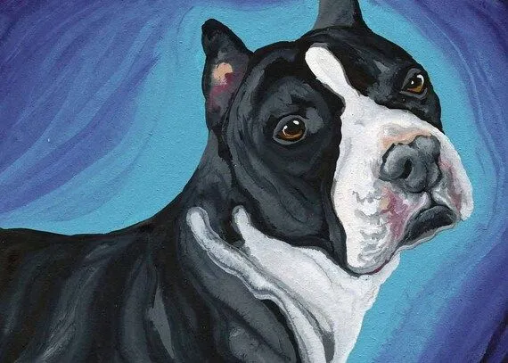 ACEO Pitbull Staffordshire negro Original para por carlascreatures