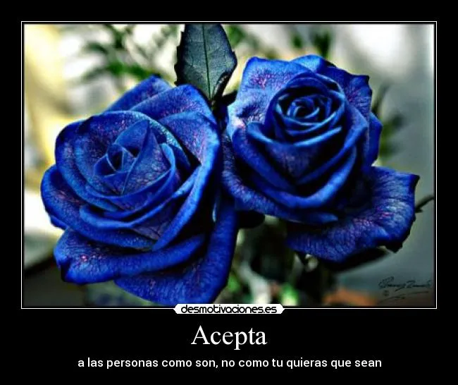 Usuario: christianhatethis | Desmotivaciones Usuario: christianhatethis | Desmotivaciones