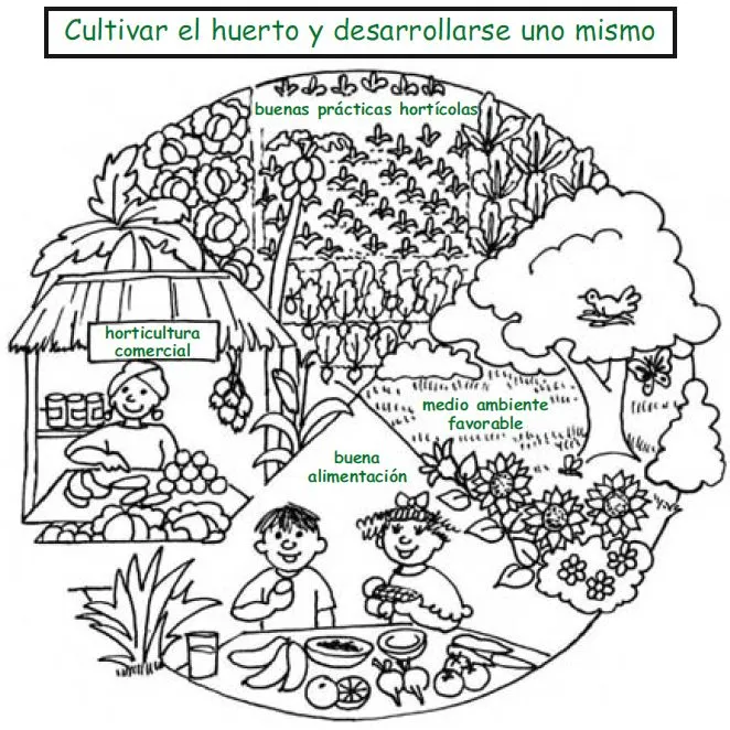 Dibujos para colorear sobre huerto escolar - Imagui Dibujos para colorear sobre huerto escolar - Imagui