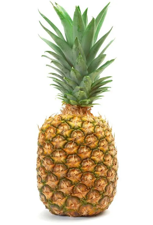ACI25 - Como sembrar una Piña