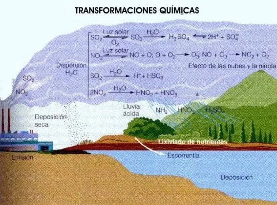 acidaimage002.jpg