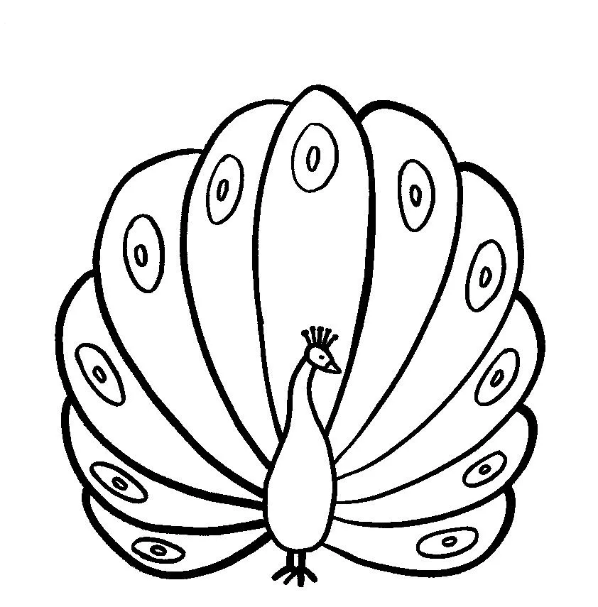 Pavo para colorear