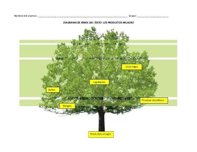 Act esquema arbol