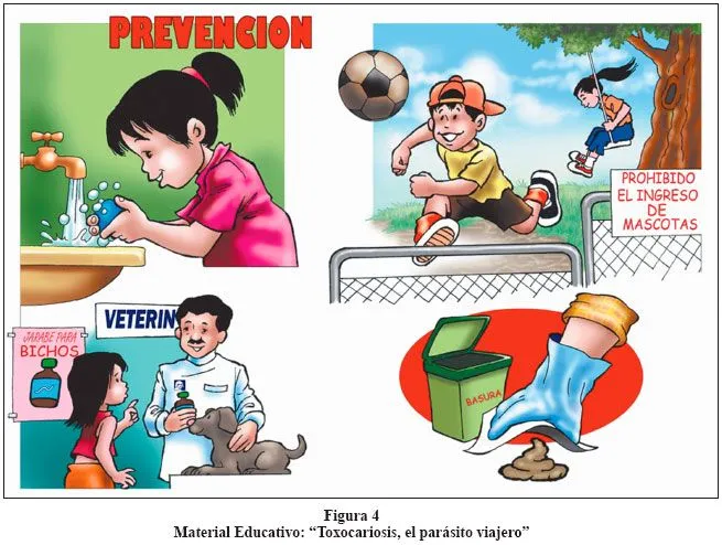 Acta Médica Peruana - Toxocariosis humana en el Perú: aspectos ...
