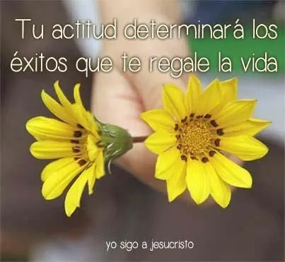 Buena actitud siempre! | Frases Inspiradoras | Pinterest Buena actitud siempre! | Frases Inspiradoras | Pinterest