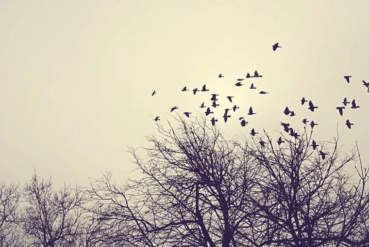 actitudes | Tumblr