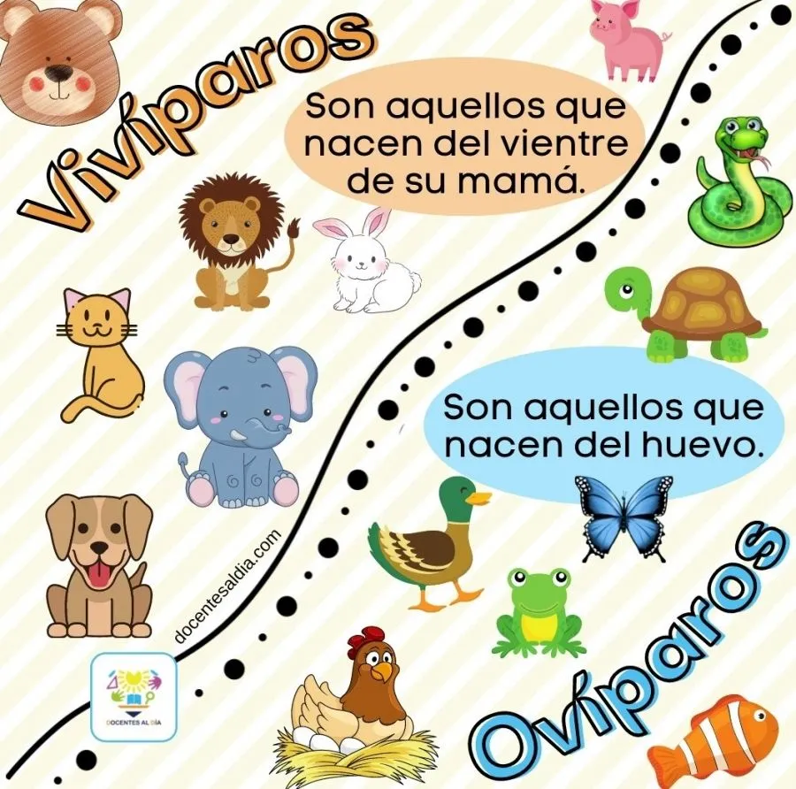 Actividad 32. ¿Cómo nacen?. 01 de diciembre de 2022. Actividad 32. ¿Cómo nacen?. 01 de diciembre de 2022.