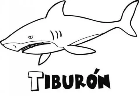 Tiburón blanco para dibujar - Imagui