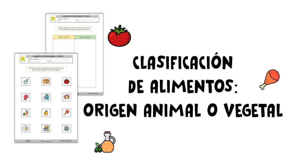 Actividad manipulativa: Clasificación de alimentos, origen animal o vegetal Actividad manipulativa: Clasificación de alimentos, origen animal o vegetal