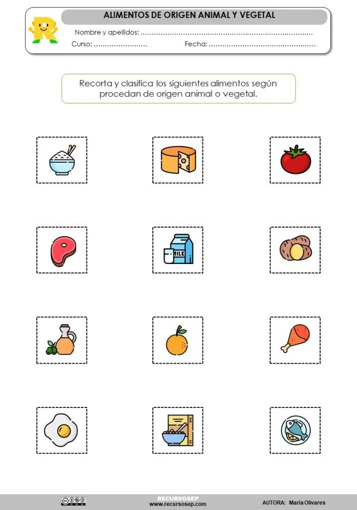 Actividad manipulativa: Clasificación de alimentos, origen animal o vegetal Actividad manipulativa: Clasificación de alimentos, origen animal o vegetal