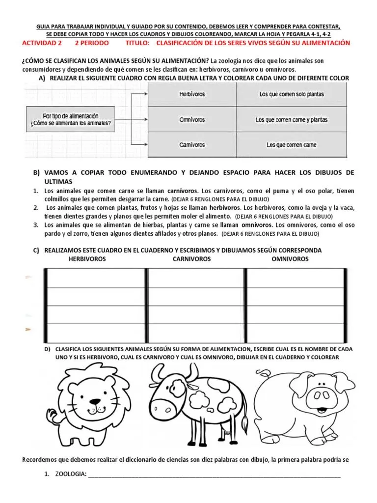 ACTIVIDAD 2 2 PERIODO Clasificacion Por Alimentacion | PDF ACTIVIDAD 2 2 PERIODO Clasificacion Por Alimentacion | PDF