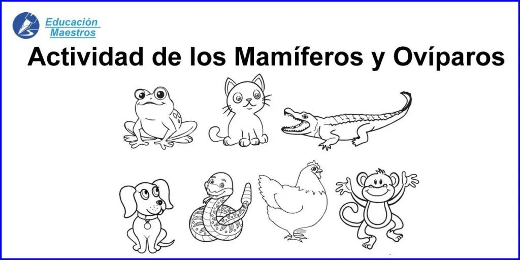 Actividades de Animales Mamíferos y Ovíparos | Recortar y Pegar Actividades de Animales Mamíferos y Ovíparos | Recortar y Pegar