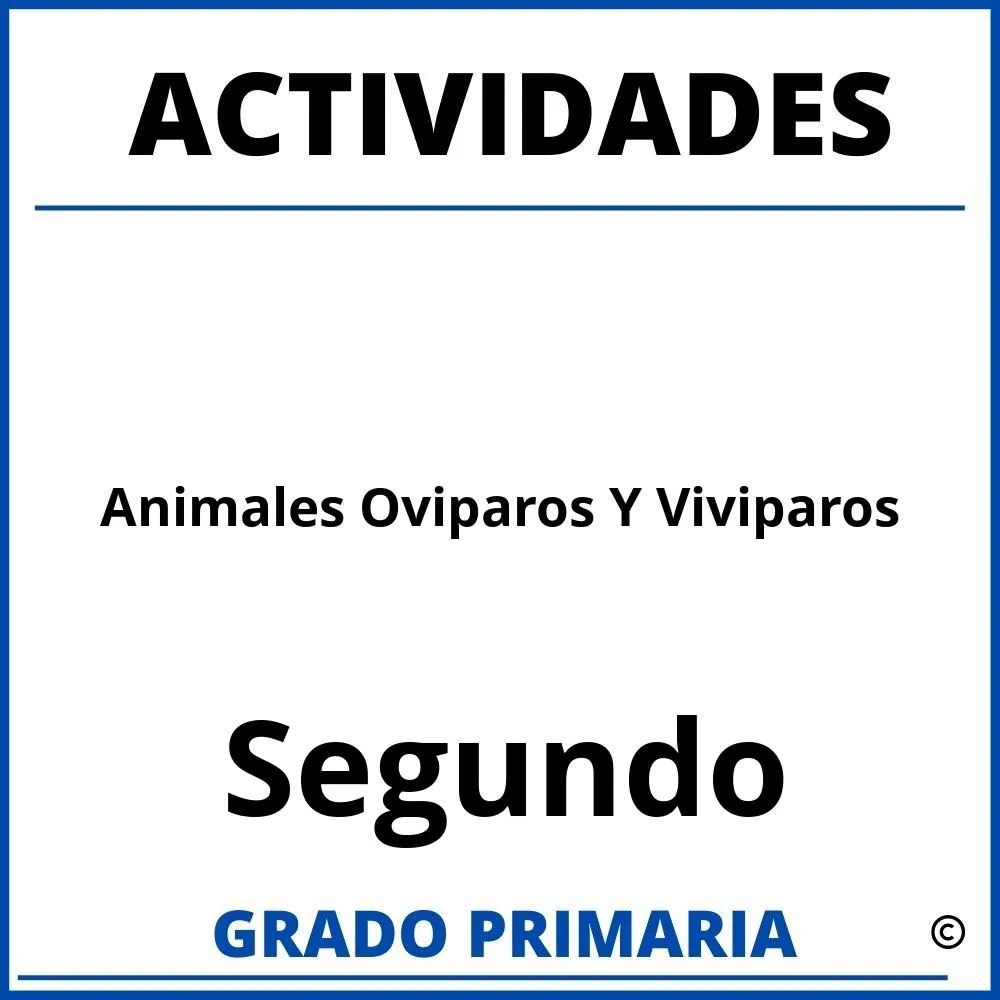 ▷ Actividades De Animales Oviparos Y Viviparos Para Segundo Grado