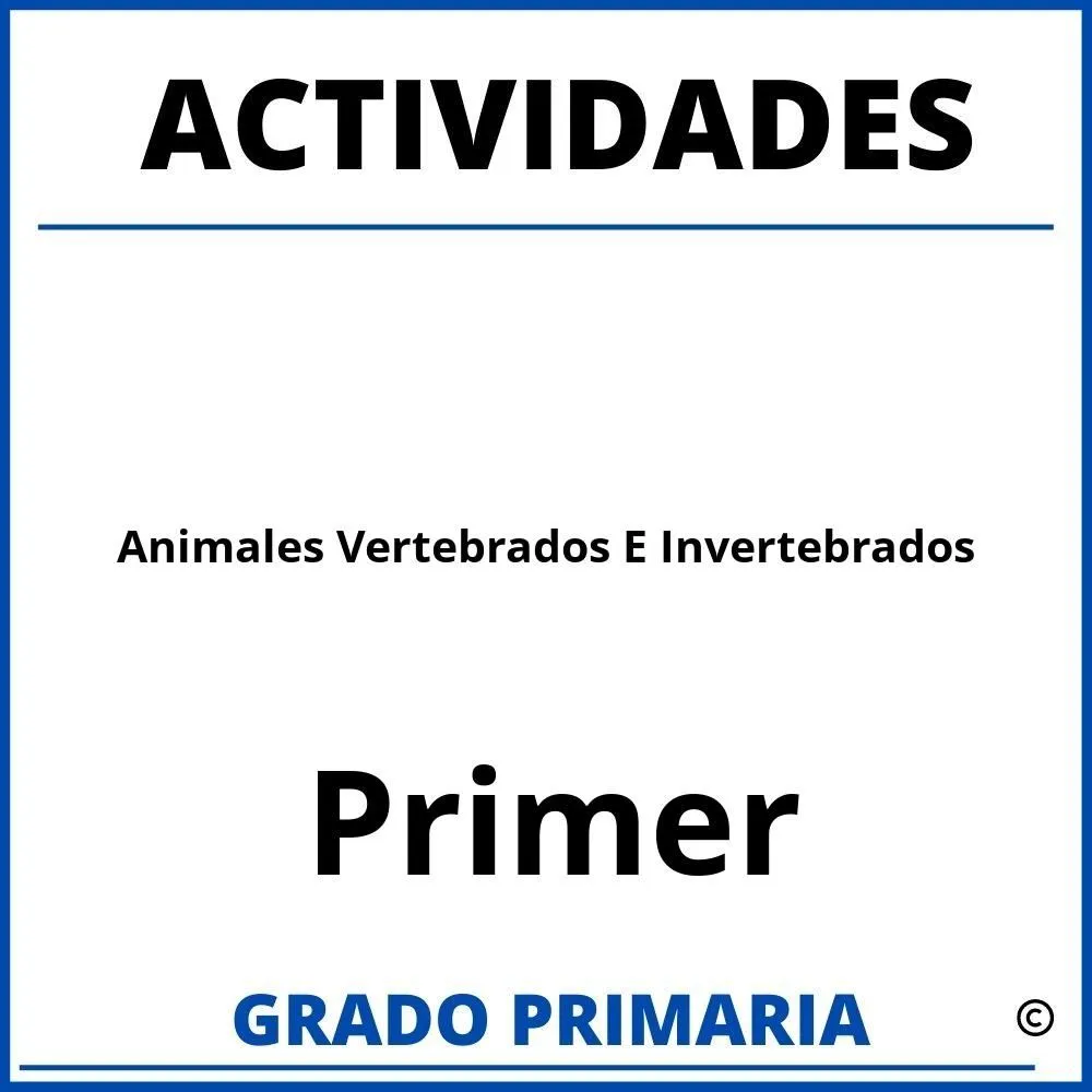 ▷ Actividades De Animales Vertebrados E Invertebrados Para Primer Grado ▷ Actividades De Animales Vertebrados E Invertebrados Para Primer Grado