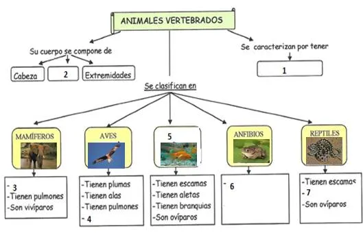 Actividades | Biología