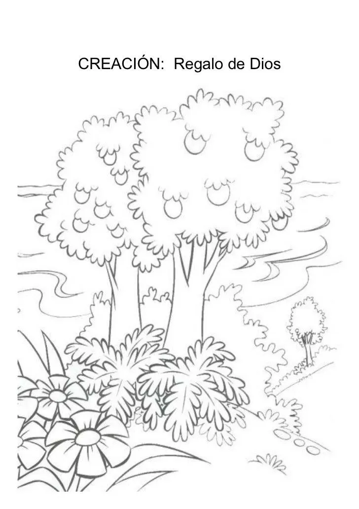 Actividades sobre la Creación Actividades sobre la Creación