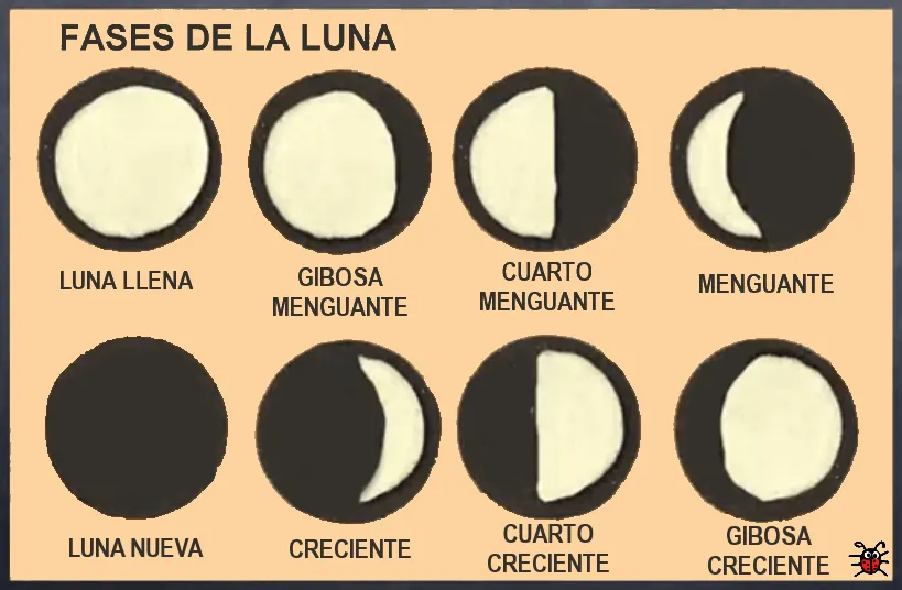 Actividades para Educación Infantil: 11 actividades para trabajar la LUNA (1 de 2) Actividades para Educación Infantil: 11 actividades para trabajar la LUNA (1 de 2)