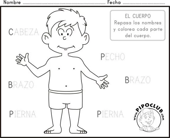 Actividades y ejercicios para infantil y primaria: Repassa los ...