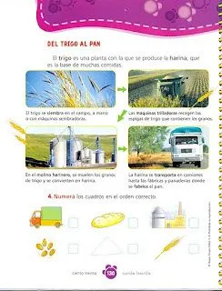 Actividades Escolares: Actividades sobre campo y ciudad