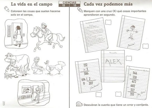 Actividades Escolares: Actividades sobre campo y ciudad