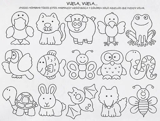 Actividades Escolares: ciencias- para dar todo sobre animales