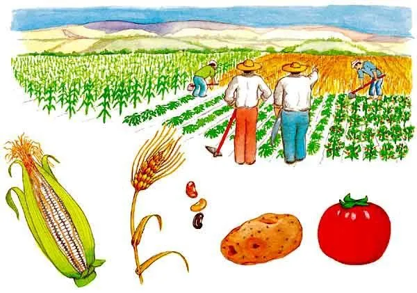 Actividades Escolares: imagenes para trabajar el campo y la ciudad Actividades Escolares: imagenes para trabajar el campo y la ciudad