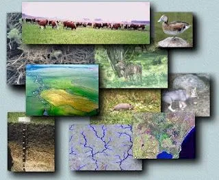 Actividades Escolares: RECURSOS NATURALES