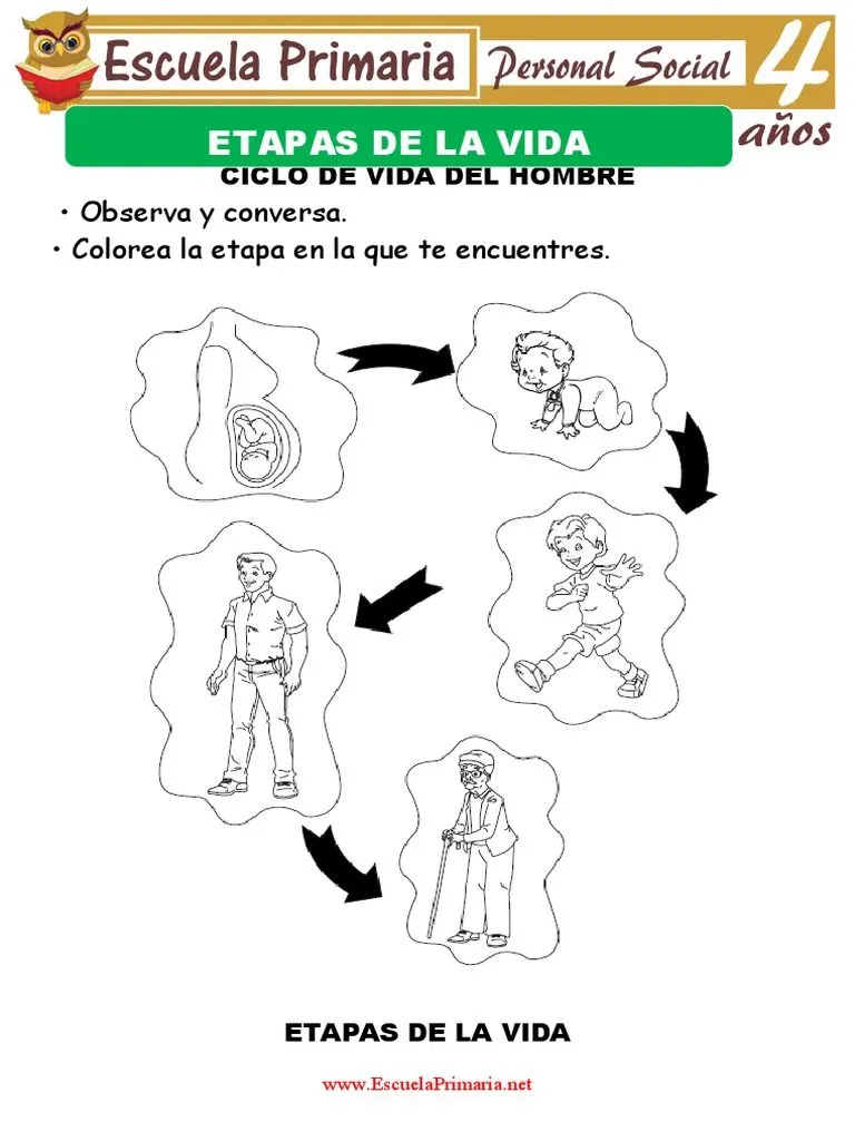 Actividades de Etapas de La Vida para Ninos de Cuatro Anos | PDF Actividades de Etapas de La Vida para Ninos de Cuatro Anos | PDF