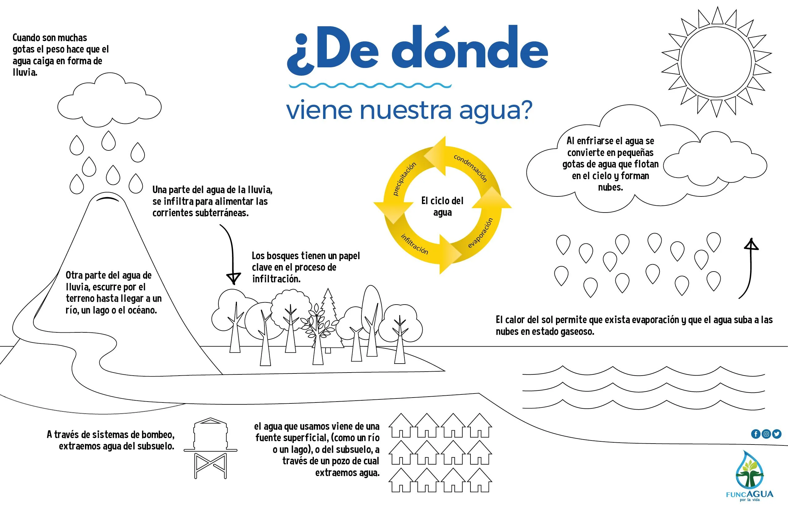 Actividades - Funcagua