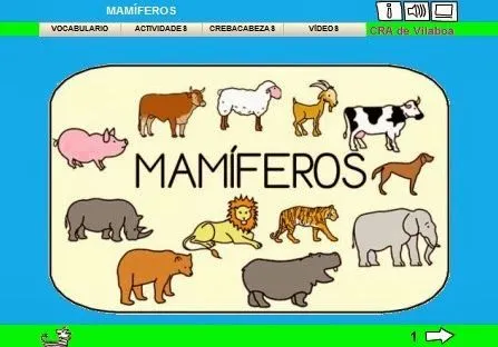 A ESCOLA DE BARCIELA: LOS ANIMALES MAMÍFEROS (Lim) | ANIMALES ... A ESCOLA DE BARCIELA: LOS ANIMALES MAMÍFEROS (Lim) | ANIMALES ...