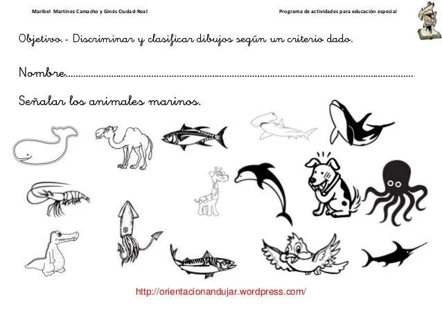 Actividades julian