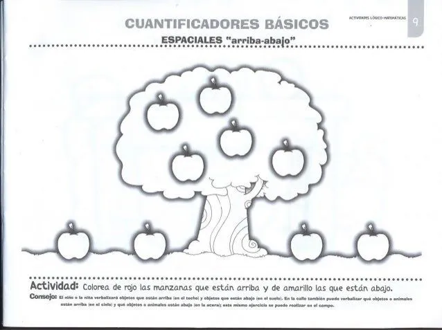 Actividades lógico matemáticas 1