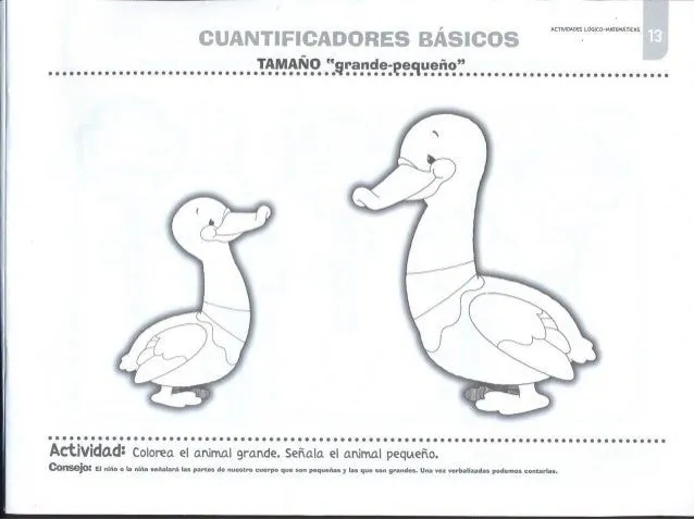 Actividades lógico matemáticas 1
