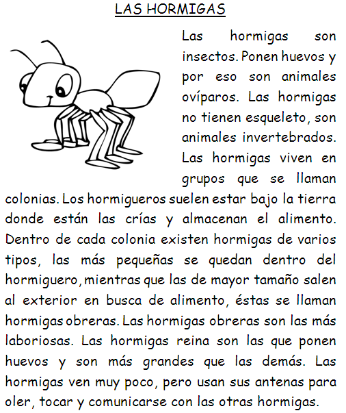 ActIVidaDEs PedAGogICas PaRa eL AuLA : Lecturas comprensivas de la ECE ActIVidaDEs PedAGogICas PaRa eL AuLA : Lecturas comprensivas de la ECE