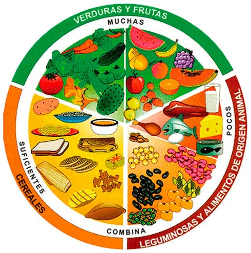 Mis Actividades de Primaria: La dieta correcta y su importancia ... Mis Actividades de Primaria: La dieta correcta y su importancia ...