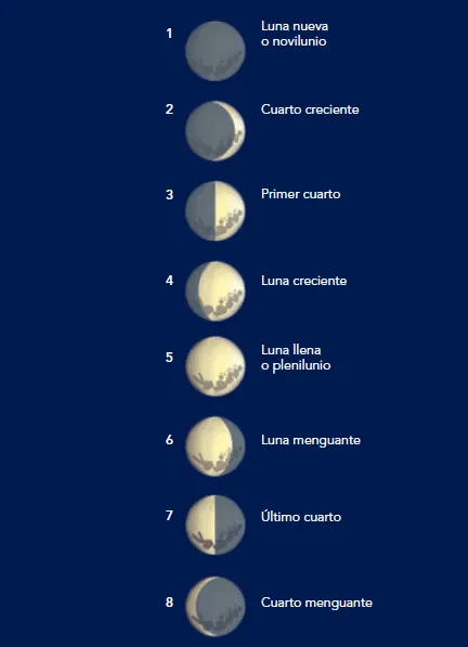 Mis Actividades de Primaria: Las fases de la Luna, Bloque 5, Tema1 ... Mis Actividades de Primaria: Las fases de la Luna, Bloque 5, Tema1 ...