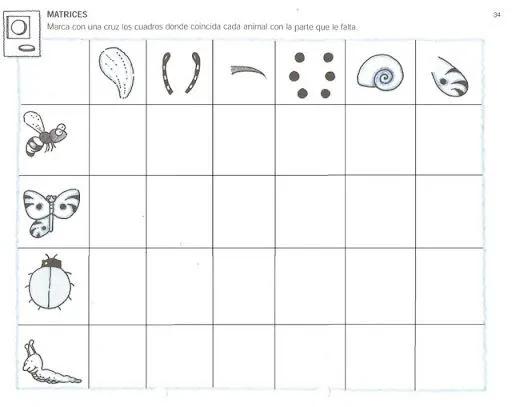 Actividades de los sentidos para niños de preescolar - Imagui