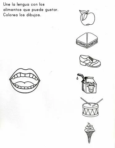 Activipeques: Los 5 sentidos