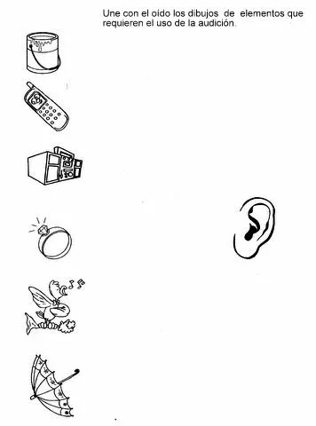 Activipeques: Los 5 sentidos