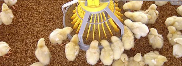 Actuaciones nutricionales para mitigar problemas de salud ...